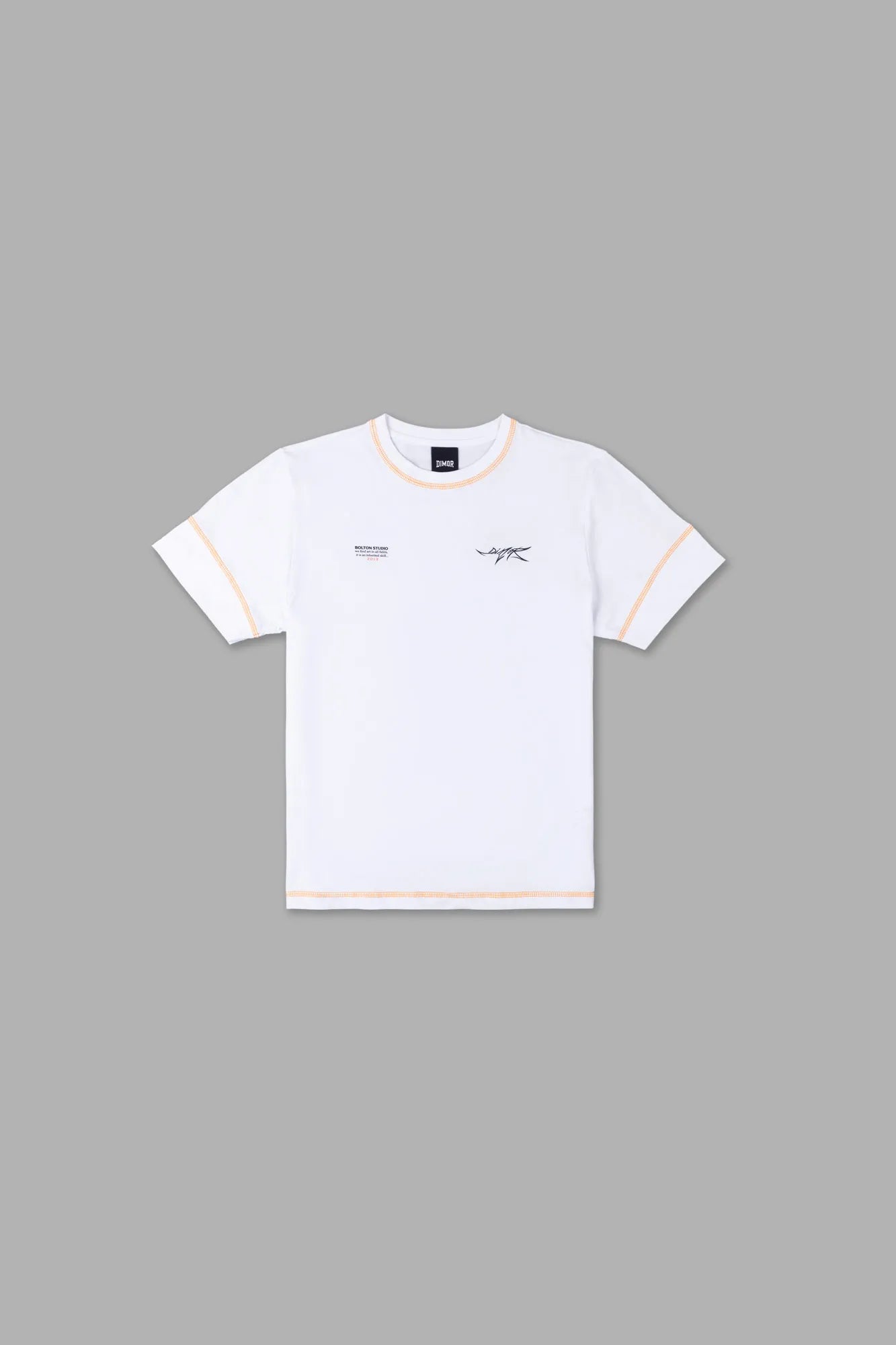 POLO REGULAR FIT DSL