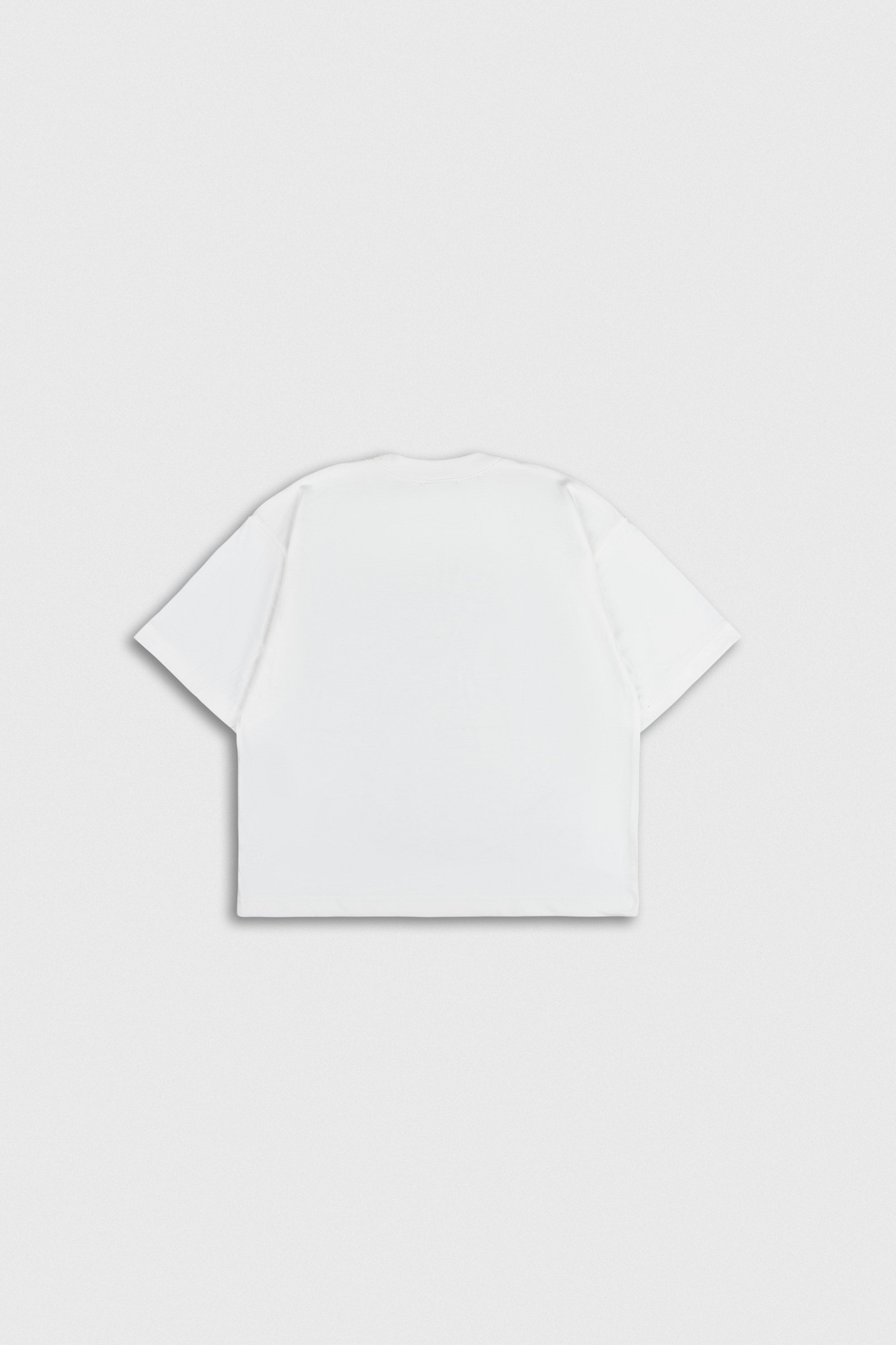 POLO BOXY FIT RISS 2.0
