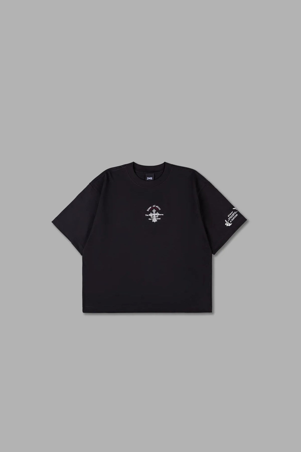 POLO BOXY FIT CR1