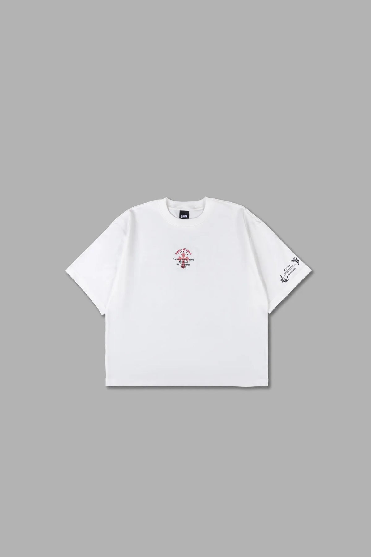 POLO BOXY FIT CR1